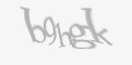 Beveiligingscode